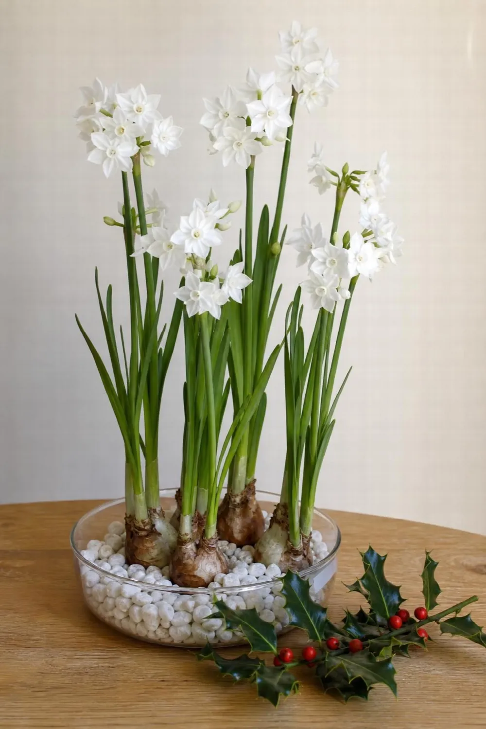 December birth flowers: narcissus and holly, and what they really meant to the Victorians