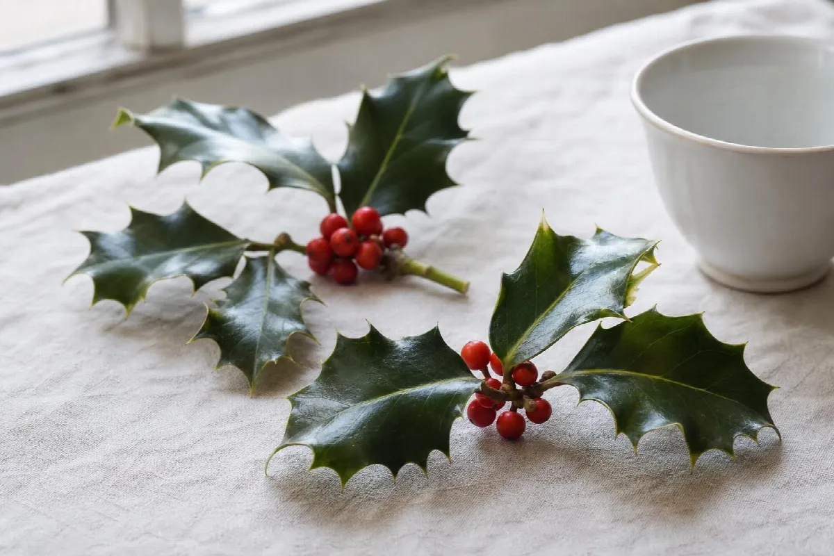 Two sprigs of English holly with red berries on a linen cloth (AI-generated image)