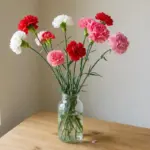 January birth flower carnations in red, pink and white in a glass bottle (AI-generated image)